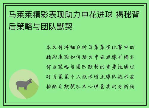 马莱莱精彩表现助力申花进球 揭秘背后策略与团队默契