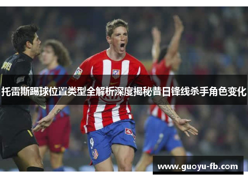 托雷斯踢球位置类型全解析深度揭秘昔日锋线杀手角色变化