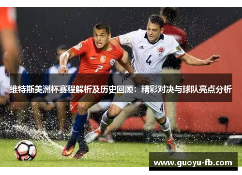 维特斯美洲杯赛程解析及历史回顾：精彩对决与球队亮点分析