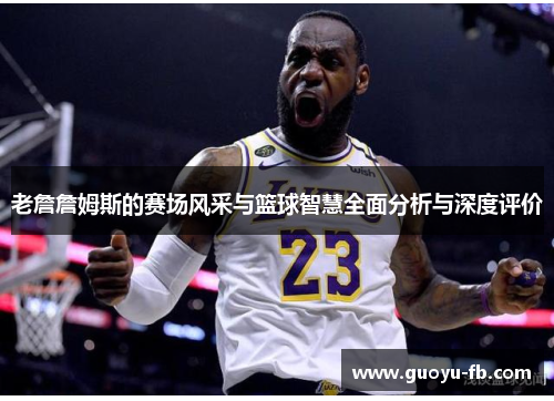 老詹詹姆斯的赛场风采与篮球智慧全面分析与深度评价