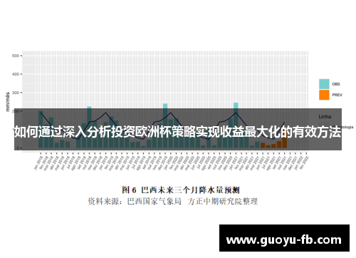 如何通过深入分析投资欧洲杯策略实现收益最大化的有效方法