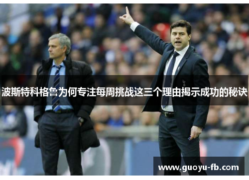 波斯特科格鲁为何专注每周挑战这三个理由揭示成功的秘诀