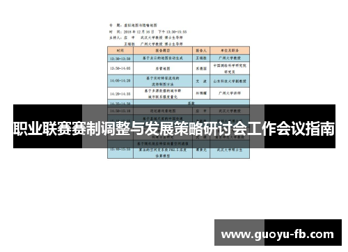 职业联赛赛制调整与发展策略研讨会工作会议指南 职业联赛赛制调整与发展策略研讨会工作会议指南