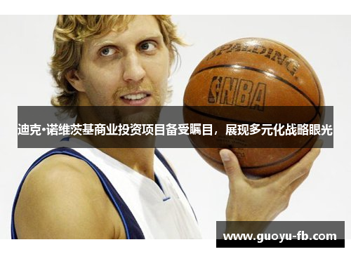 迪克·诺维茨基商业投资项目备受瞩目，展现多元化战略眼光