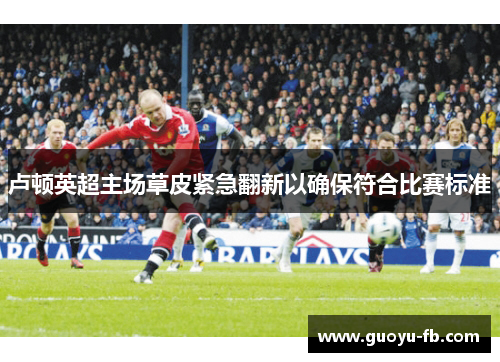卢顿英超主场草皮紧急翻新以确保符合比赛标准